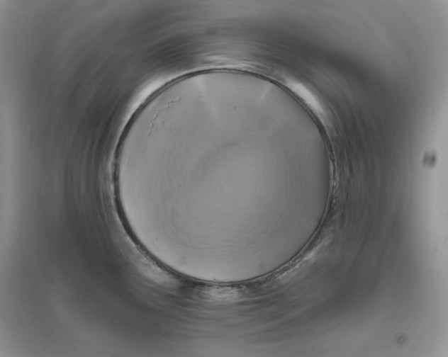 X0000096171291200802081402