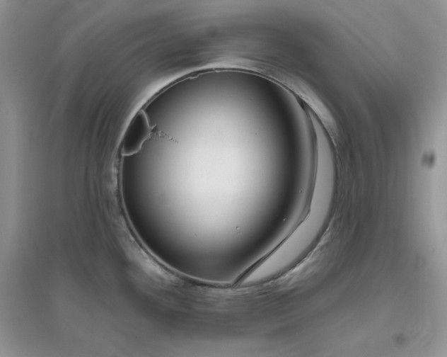 X0000096171292200802081402