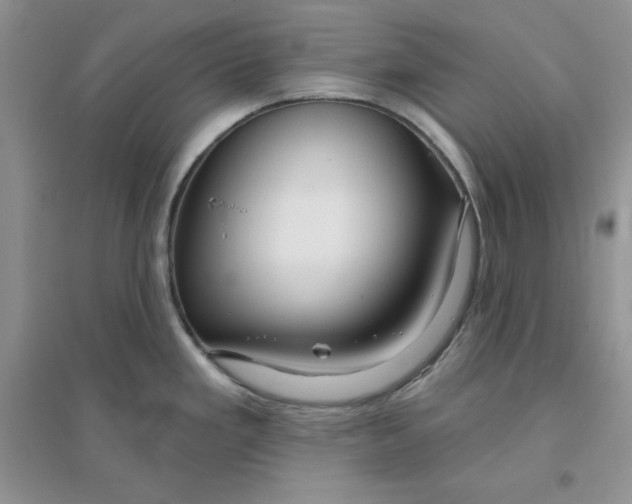 X0000096171293200802081402