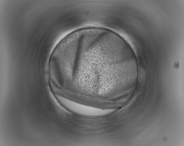 X0000096171295200802081402