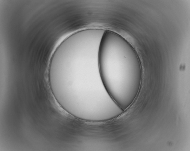 X0000096171296200802081402