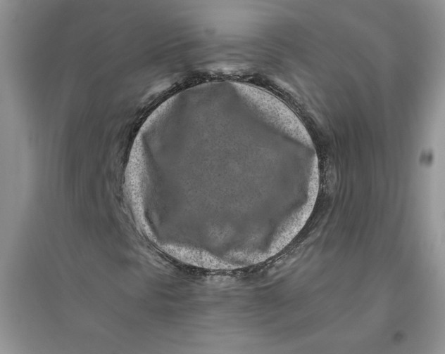 X0000096171297200802081402