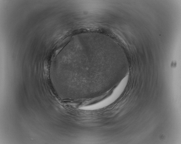 X0000096171298200802081402