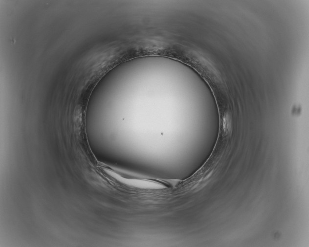 X0000096171299200802081402