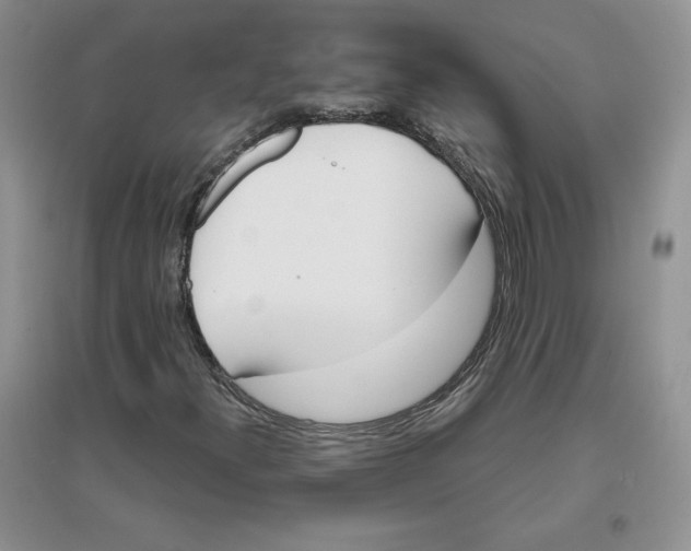 X0000096171300200802081402