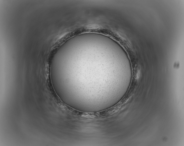 X0000096171301200802081402