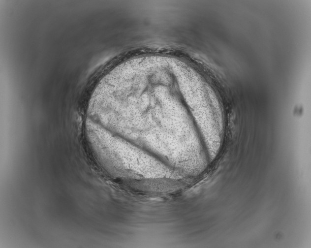 X0000096171302200802081402