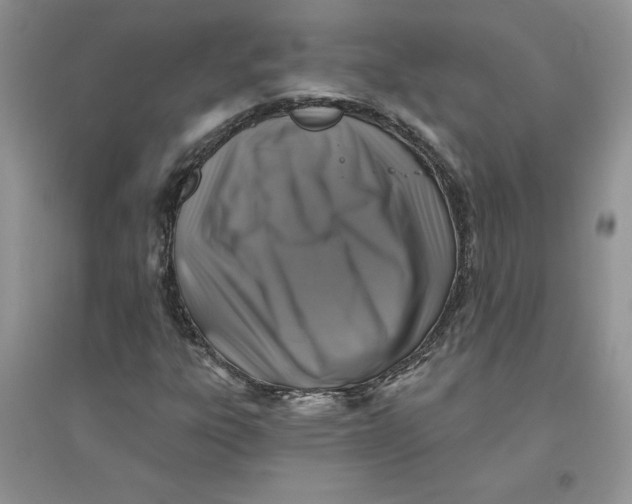 X0000096171303200802081402