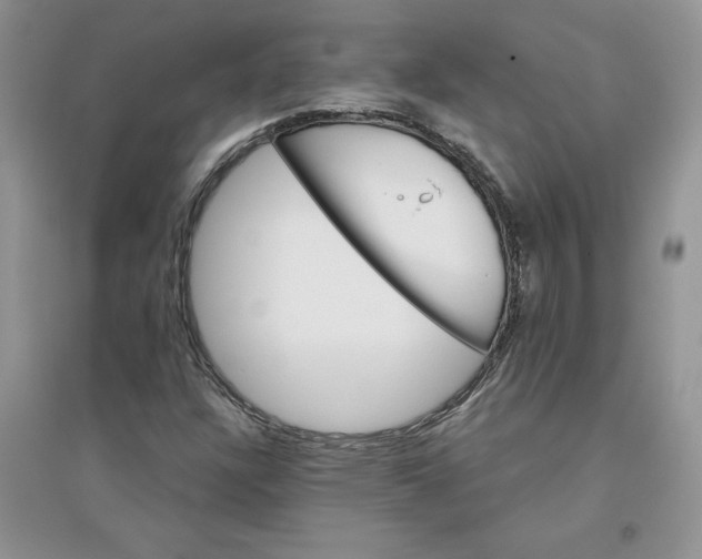 X0000096171304200802081402