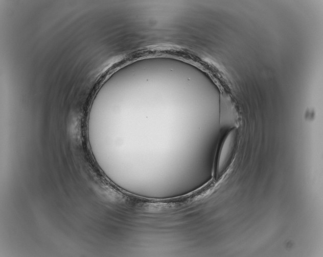 X0000096171305200802081402