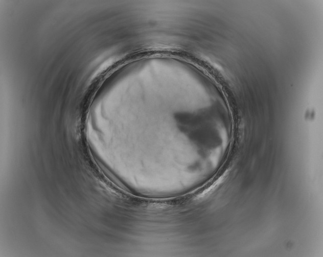 X0000096171306200802081402