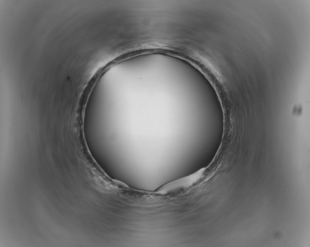 X0000096171308200802081402