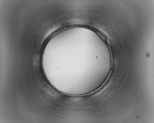 X0000096171309200802081402