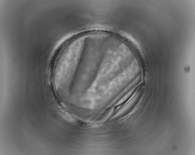 X0000096171310200802081402