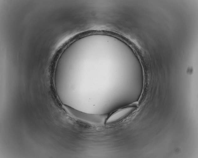 X0000096171311200802081402