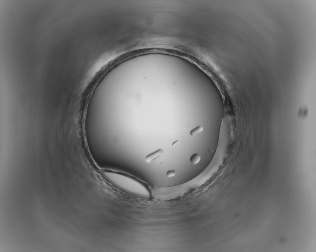 X0000096171312200802081402