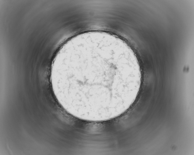 X0000096171314200802081402