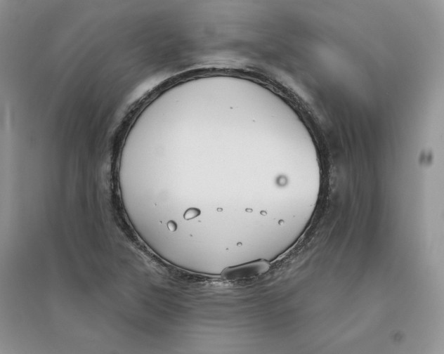 X0000096171315200802081402