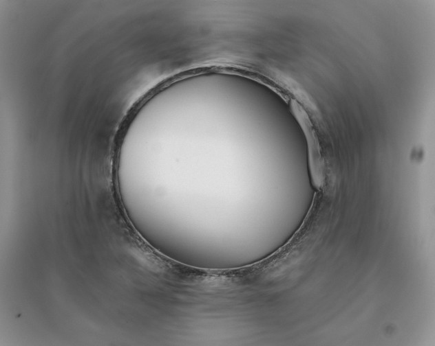 X0000096171316200802081402