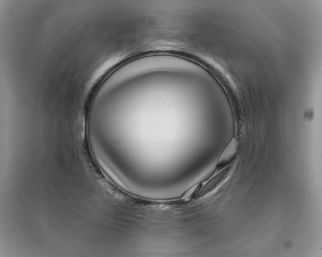 X0000096171317200802081402