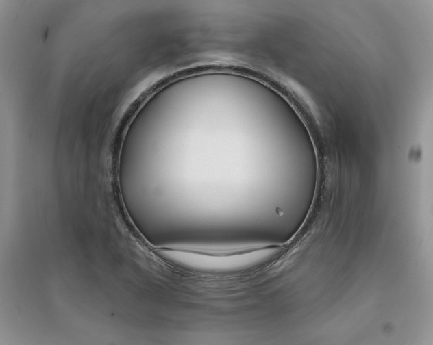 X0000096171318200802081402