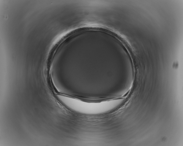 X0000096171319200802081402