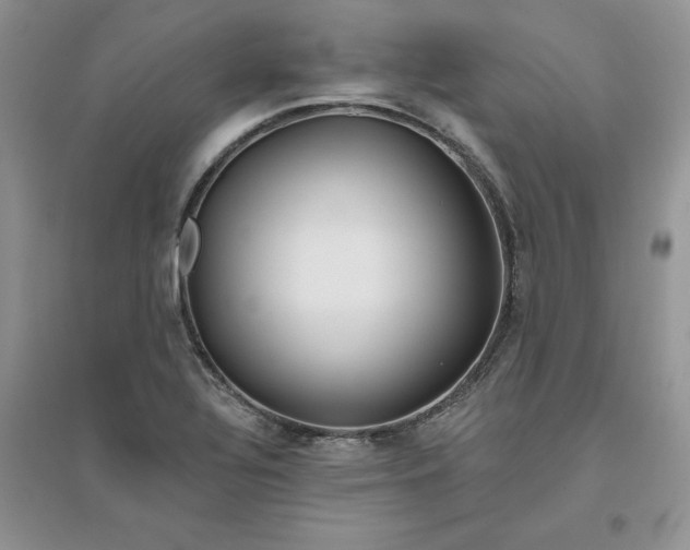 X0000096171320200802081402