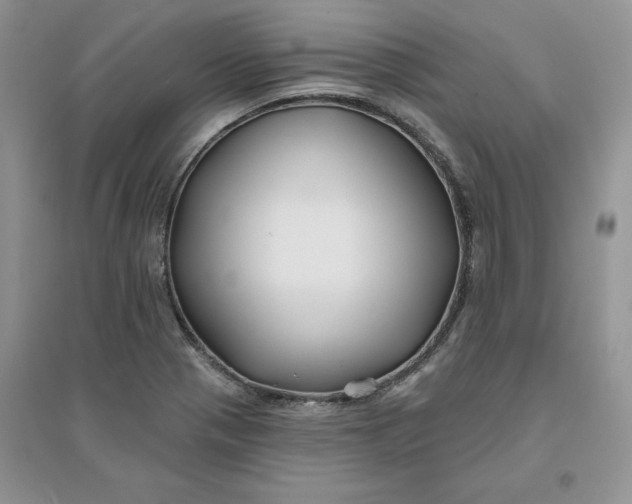 X0000096171321200802081402