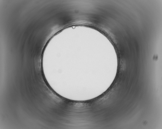 X0000096171322200802081402