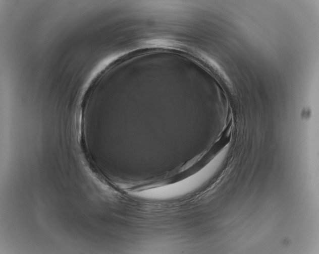 X0000096171323200802081402