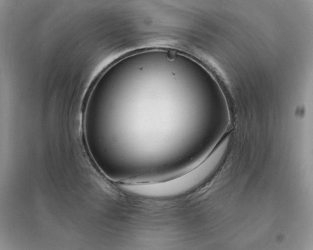 X0000096171324200802081402