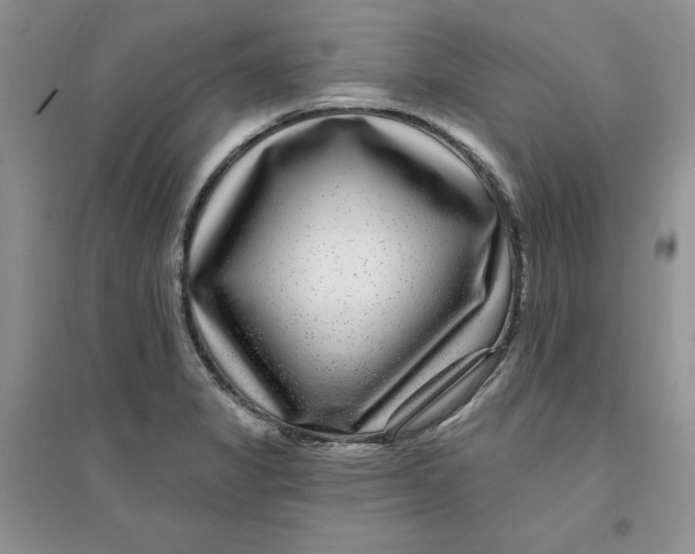 X0000096171325200802081402