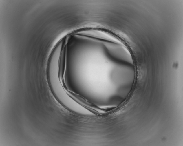 X0000096171326200802081402