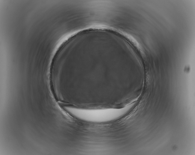 X0000096171327200802081402