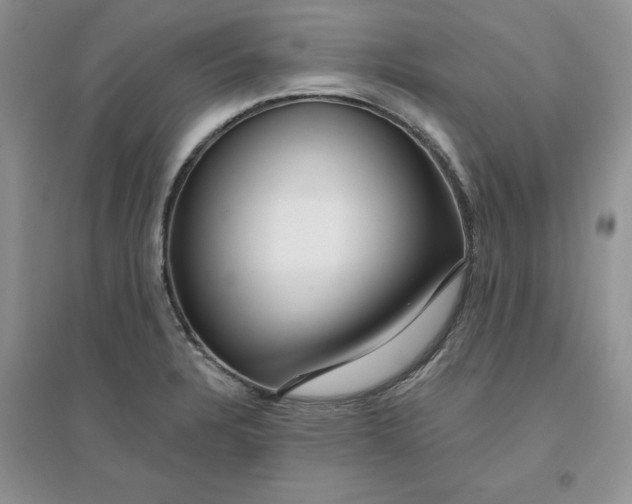 X0000096171328200802081402