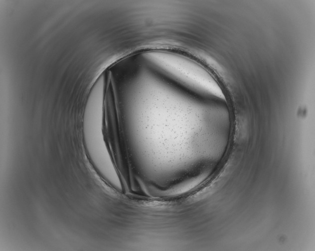 X0000096171329200802081402