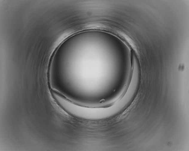 X0000096171330200802081402