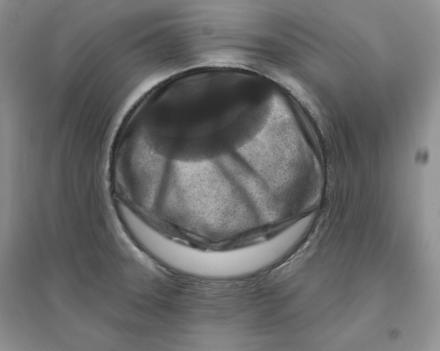 X0000096171331200802081402