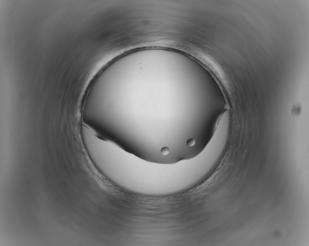 X0000096171332200802081402