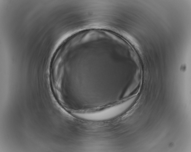 X0000096171334200802081402