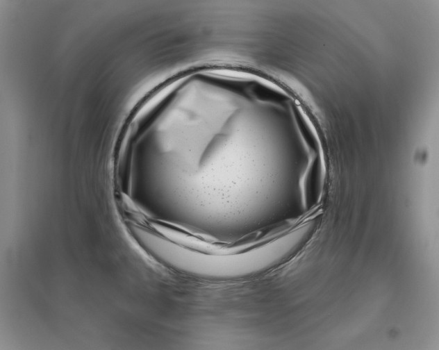 X0000096171335200802081402