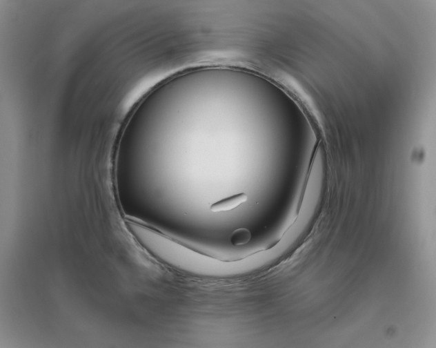 X0000096171336200802081402