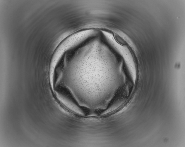 X0000096171337200802081402