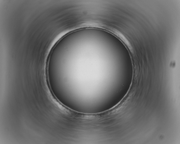 X0000096171339200802081402