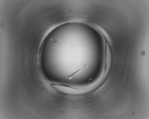 X0000096171340200802081402