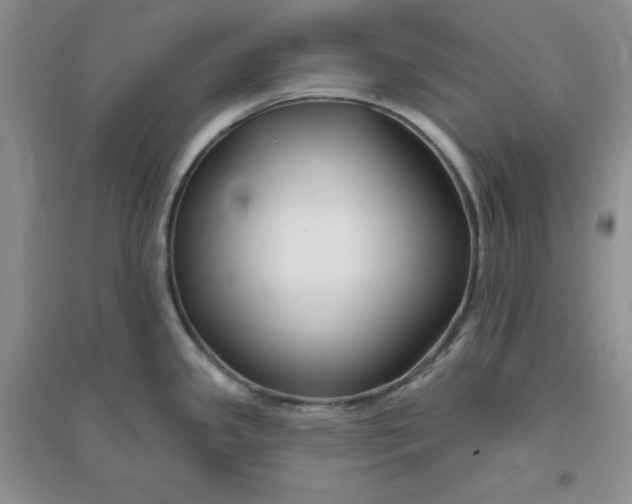 X0000096171341200802081402