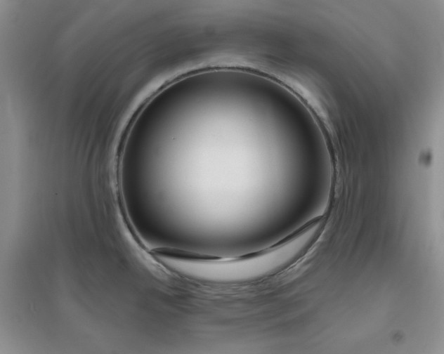 X0000096171342200802081402