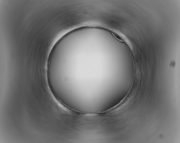 X0000096171343200802081402