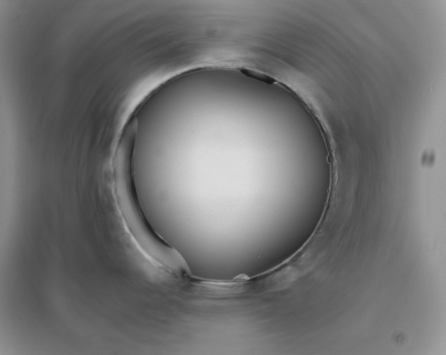 X0000096171344200802081402