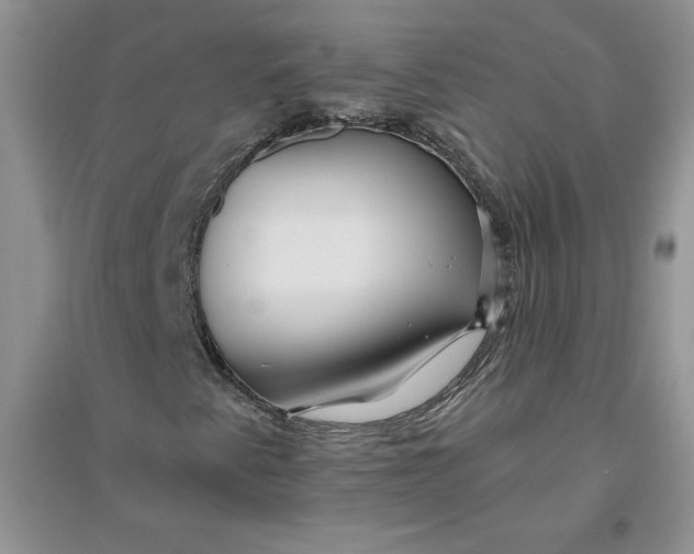 X0000096171345200802081402